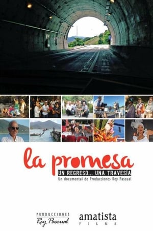 En dvd sur amazon La promesa