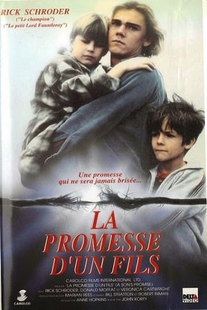 En dvd sur amazon A Son's Promise