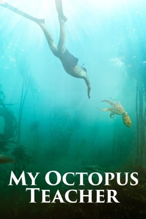 En dvd sur amazon My Octopus Teacher