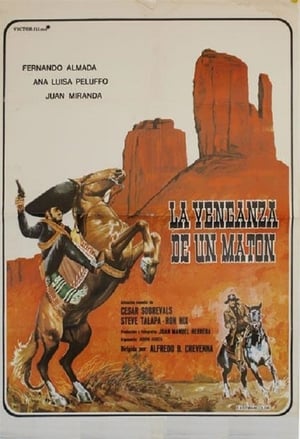 En dvd sur amazon La venganza de un matón