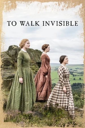 En dvd sur amazon To Walk Invisible