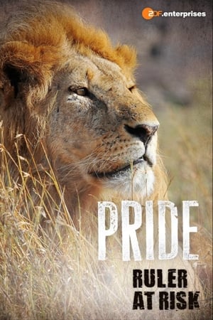 En dvd sur amazon Pride Ruler at Risk