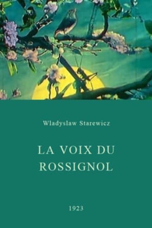 En dvd sur amazon La voix du rossignol