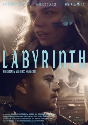 En dvd sur amazon Labyrinth