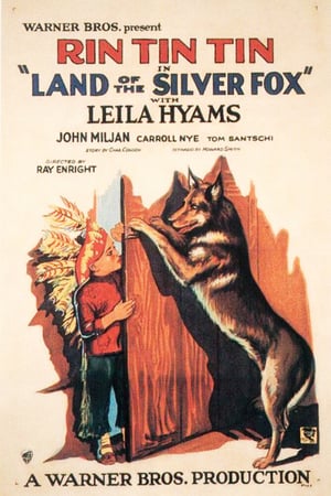 En dvd sur amazon Land of the Silver Fox