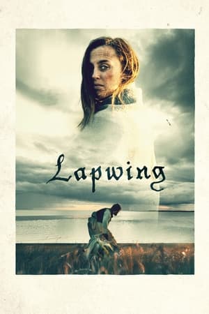 En dvd sur amazon Lapwing