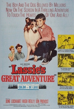 En dvd sur amazon Lassie's Great Adventure