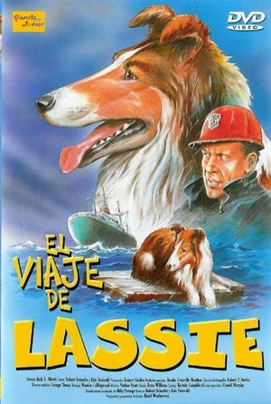 En dvd sur amazon Lassie: Well of Love