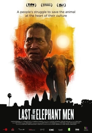 En dvd sur amazon Last of the Elephant Men