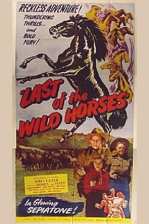 En dvd sur amazon Last of the Wild Horses