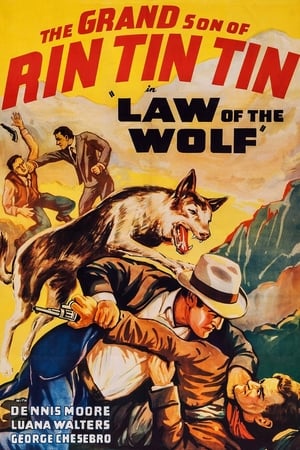 En dvd sur amazon Law of the Wolf