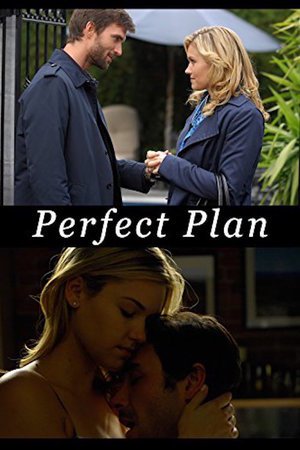 En dvd sur amazon Perfect Plan