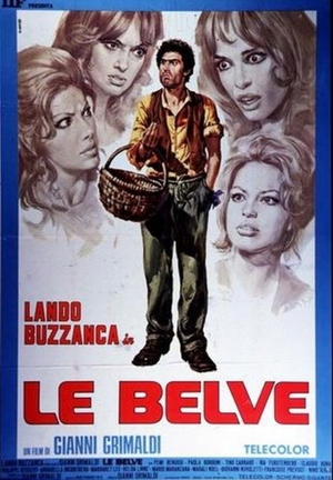 En dvd sur amazon Le belve