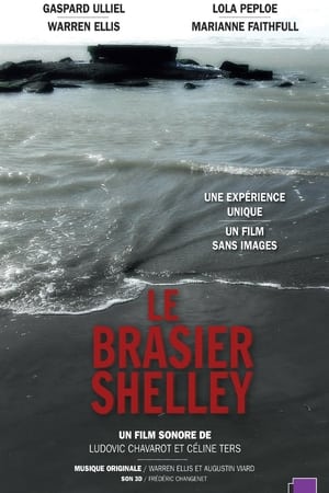 En dvd sur amazon Le Brasier Shelley