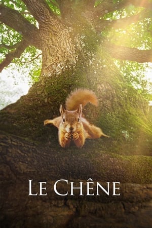 En dvd sur amazon Le Chêne