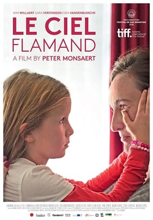 En dvd sur amazon Le Ciel Flamand