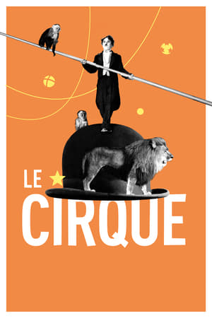 En dvd sur amazon The Circus