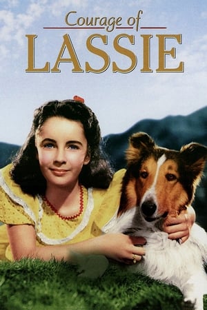 En dvd sur amazon Courage of Lassie