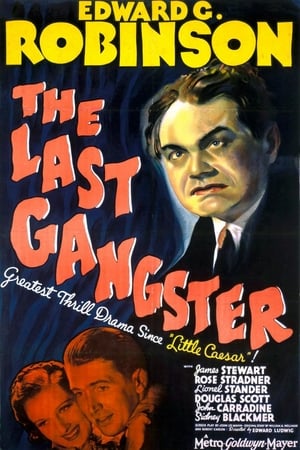 En dvd sur amazon The Last Gangster