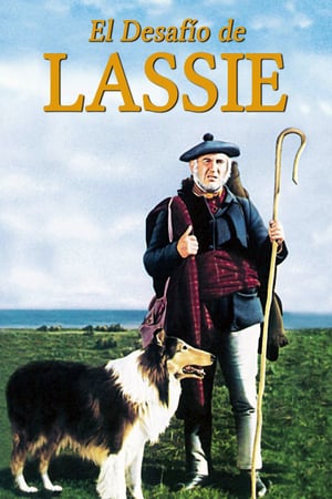 En dvd sur amazon Challenge to Lassie