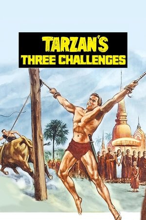 En dvd sur amazon Tarzan's Three Challenges