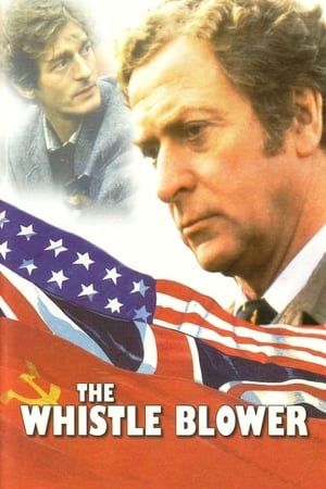 En dvd sur amazon The Whistle Blower