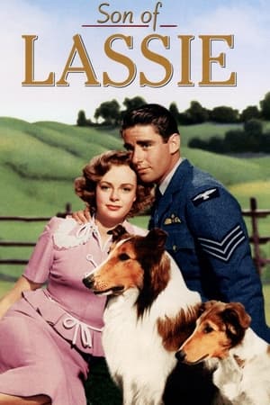 En dvd sur amazon Son of Lassie