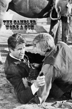 En dvd sur amazon The Gambler Wore a Gun