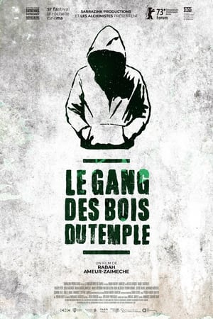 En dvd sur amazon Le gang des Bois du Temple