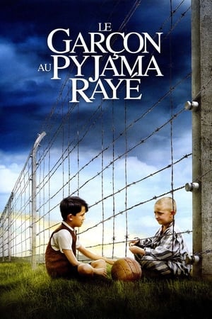 En dvd sur amazon The Boy in the Striped Pyjamas