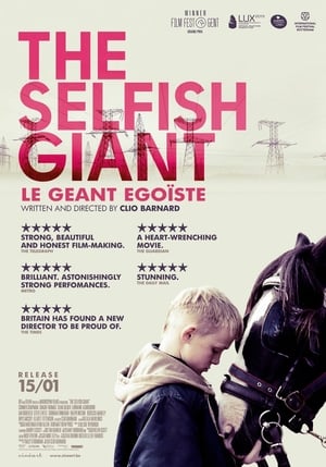 En dvd sur amazon The Selfish Giant