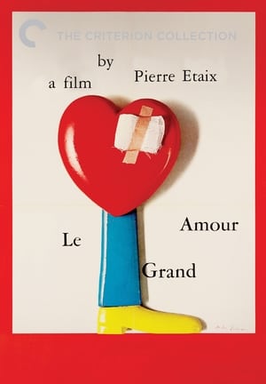 En dvd sur amazon Le Grand Amour