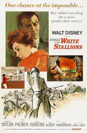 En dvd sur amazon Miracle of the White Stallions