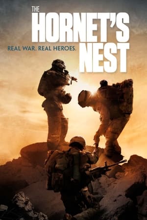 En dvd sur amazon The Hornet's Nest