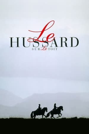 En dvd sur amazon Le Hussard sur le toit
