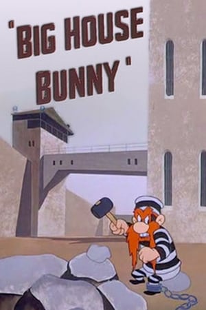 En dvd sur amazon Big House Bunny