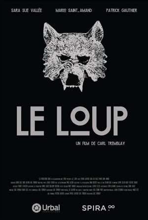 En dvd sur amazon Le Loup