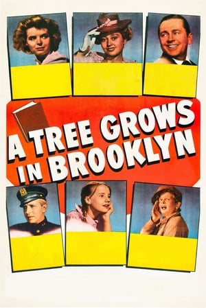 En dvd sur amazon A Tree Grows in Brooklyn
