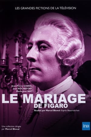 En dvd sur amazon Le Mariage de Figaro ou La Folle Journée