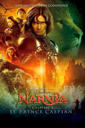 En dvd sur amazon The Chronicles of Narnia: Prince Caspian