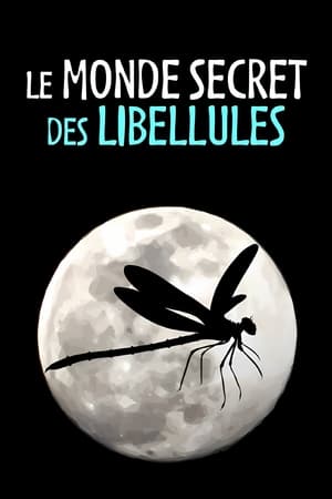 En dvd sur amazon Le Monde secret des libellules