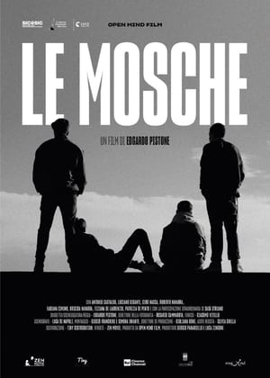 En dvd sur amazon Le mosche