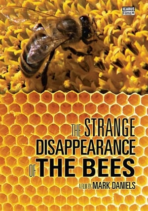 En dvd sur amazon Le Mystère de la disparition des abeilles