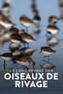 Le Mystérieux Voyage des oiseaux de rivage