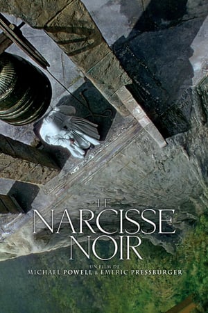 En dvd sur amazon Black Narcissus