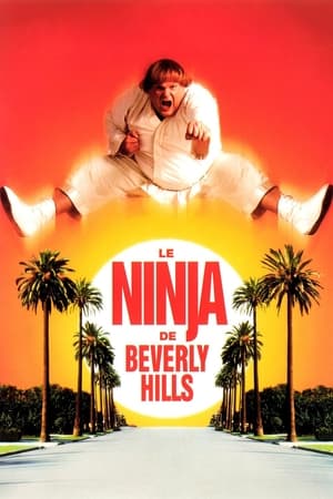 En dvd sur amazon Beverly Hills Ninja