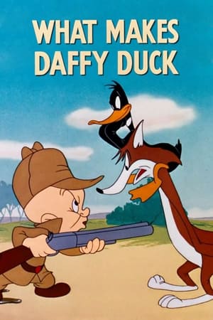 En dvd sur amazon What Makes Daffy Duck