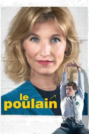 En dvd sur amazon Le Poulain
