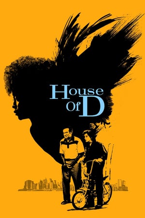 En dvd sur amazon House of D
