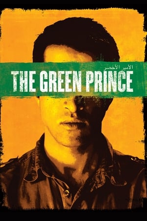 En dvd sur amazon The Green Prince